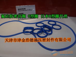 氟硅膠o型圈天津現貨,fvmq氟硅膠o型圈藍色氟膠密封圈批發(fā)